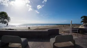 Bambú - Image 4