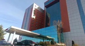 The Heart of Rin - Image 4