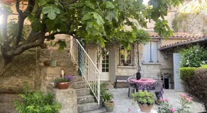 Le vieux figuier - Image 2