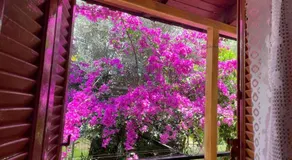 Ideal Cottage Holidays-Ιδανικές Εξοχικές Διακοπές - Image 3