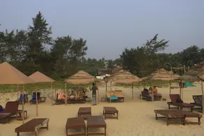 Molly's Nest - Image 5