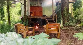 Pucón Magic forest - Image 4