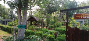 สุขศรีเวียงตาล - Image 2
