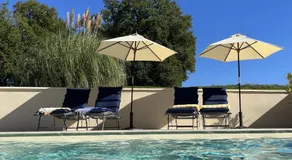LE petit CHABO - Image 3