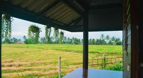 The White House Homestay - Image 4