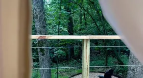 Enchanting Mountain Glamping Tents with Elevated Decks and Fire Pit Near Gentry, AR - Image 5