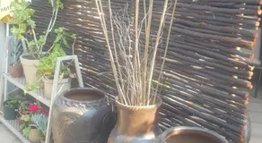 Aloes Bush Stay - Image 5