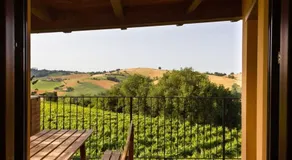 Agriturismo Vecchio Gelso - Image 4