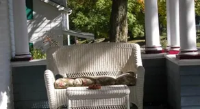 Rose Heart Inn - Image 3