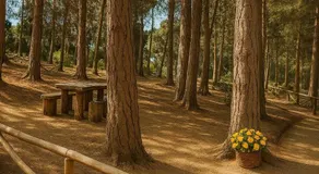 Departamento en el Tabo - Image 5