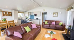 Morison - Image 2