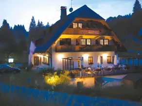 Hotel & Restaurant Grüner Baum - Die Grüne Oase Am Feldberg - Image 5