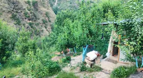 Ambar Cottage - Image 5