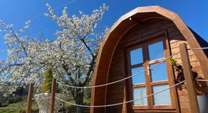 Triarca Vinum House - Image 4