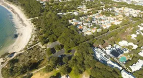 Goin Coastal - Image 5