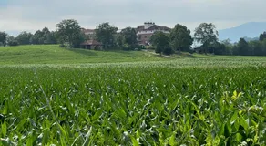 La Giardina Guest House - Image 3