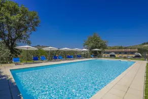 Vigna Dell'Acqua - Image 5
