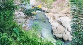 River Line -Ella - Image 3