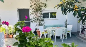 Lemon tree's house - Image 5