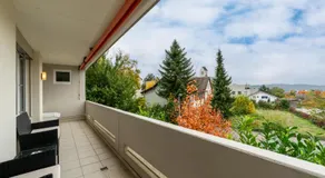 Swiss Suites Oberrohrdorf - Image 4
