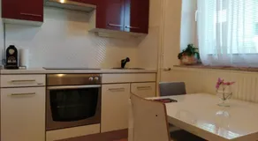 Apartma JERMAN - Cerknica - Image 4