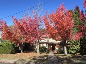 Whispering Pine 3 - Image 1