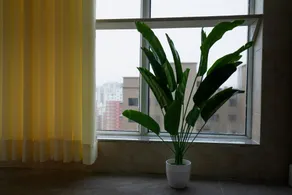 Nuoran Homestay (Ningyang Bus Station Branch) - Image 4