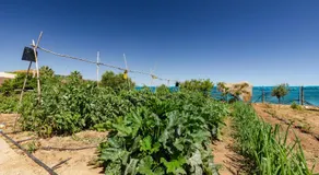 Ecoturismo Calblanque - Image 4