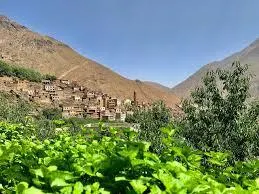 Gite Tizi Mizik - Image 3