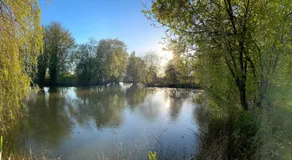 Manor Fisheries - Image 5
