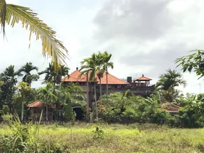 Uma Mandi Ubud Hotel - Image 3