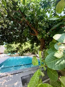 Sree Veda Wellness Resort - Image 5