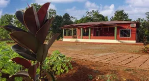 AARYA FARM - Image 4