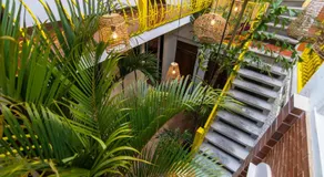 Why Not Hotel - Image 4