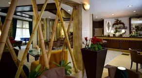 Rhodopi Home Hotel Chepelare- Half Board & Wellness - Image 4