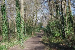 118 Shepherds Lane - Image 5