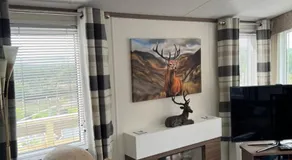 Maneight Luxury Lodge with hot tub - Image 2