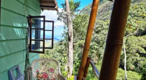 Chales Bamboo Jungle - Image 2