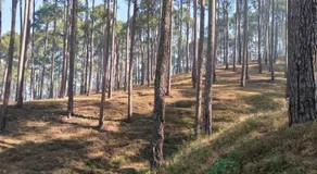 Sunrise Vista Resort & Hotel - Image 4
