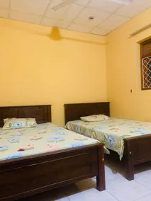 Coconut Tree Villa - Image 2