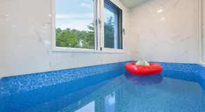 Gapyeong staysumok pool villa pension - Image 5