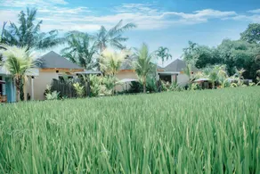 Danela Eco Villas - Image 3