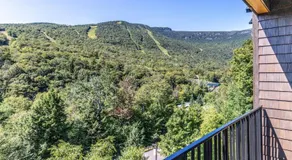 420- 4 bedroom Treehouse Condo - Spruce Peak - Stowe Mt Resort - Ski in Ski Out - Image 5