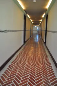Fly House - Image 3
