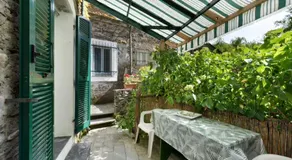 Vecchio Mulino Fontona Girasole - Image 5