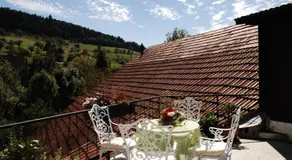 Landgasthof "Freiämter Hof" - Image 4