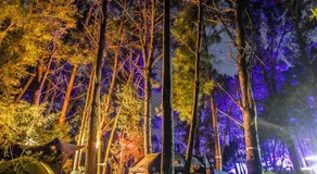 Tannenhof Camping Ground - Image 3