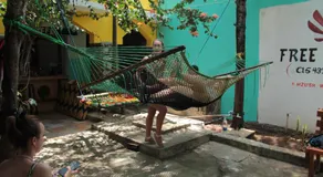 HOMELAND SWAHILI LODGE Nungwi Backpacker Apartments BUDGET - Image 5