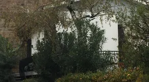 Alla Rotonda dai Santi - Image 5