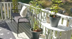 Det Vita Huset - Image 4